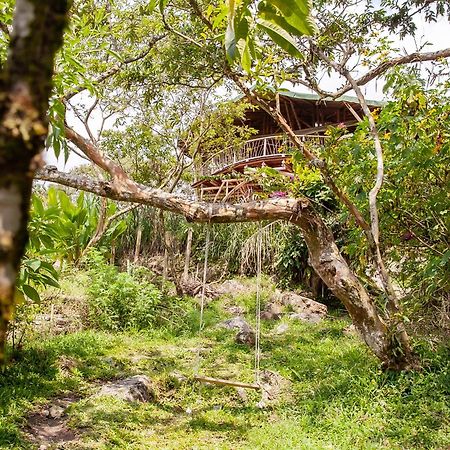 Ecofinca Fuente Alegre Cocorná Kültér fotó
