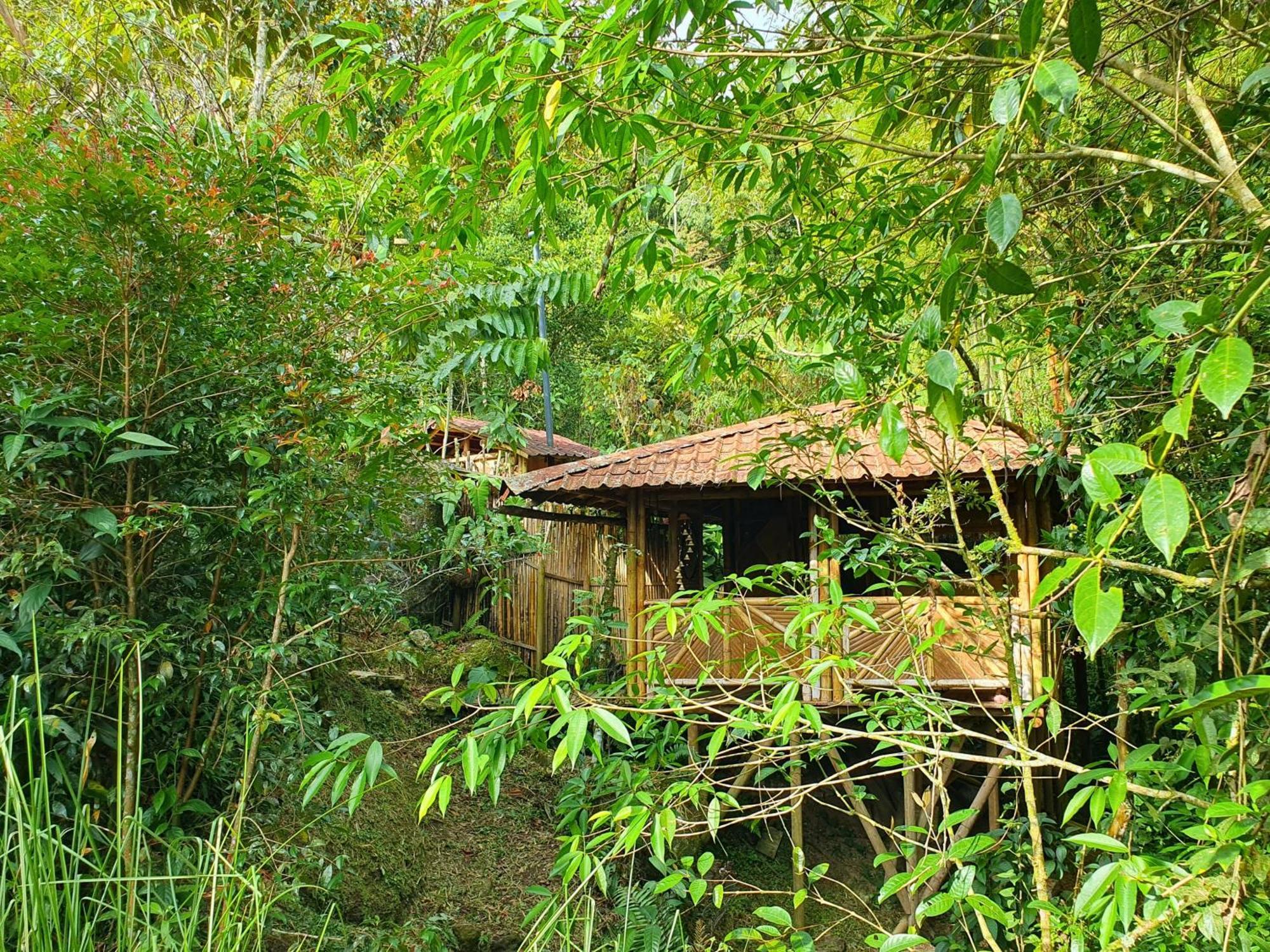 Ecofinca Fuente Alegre Cocorná Szoba fotó