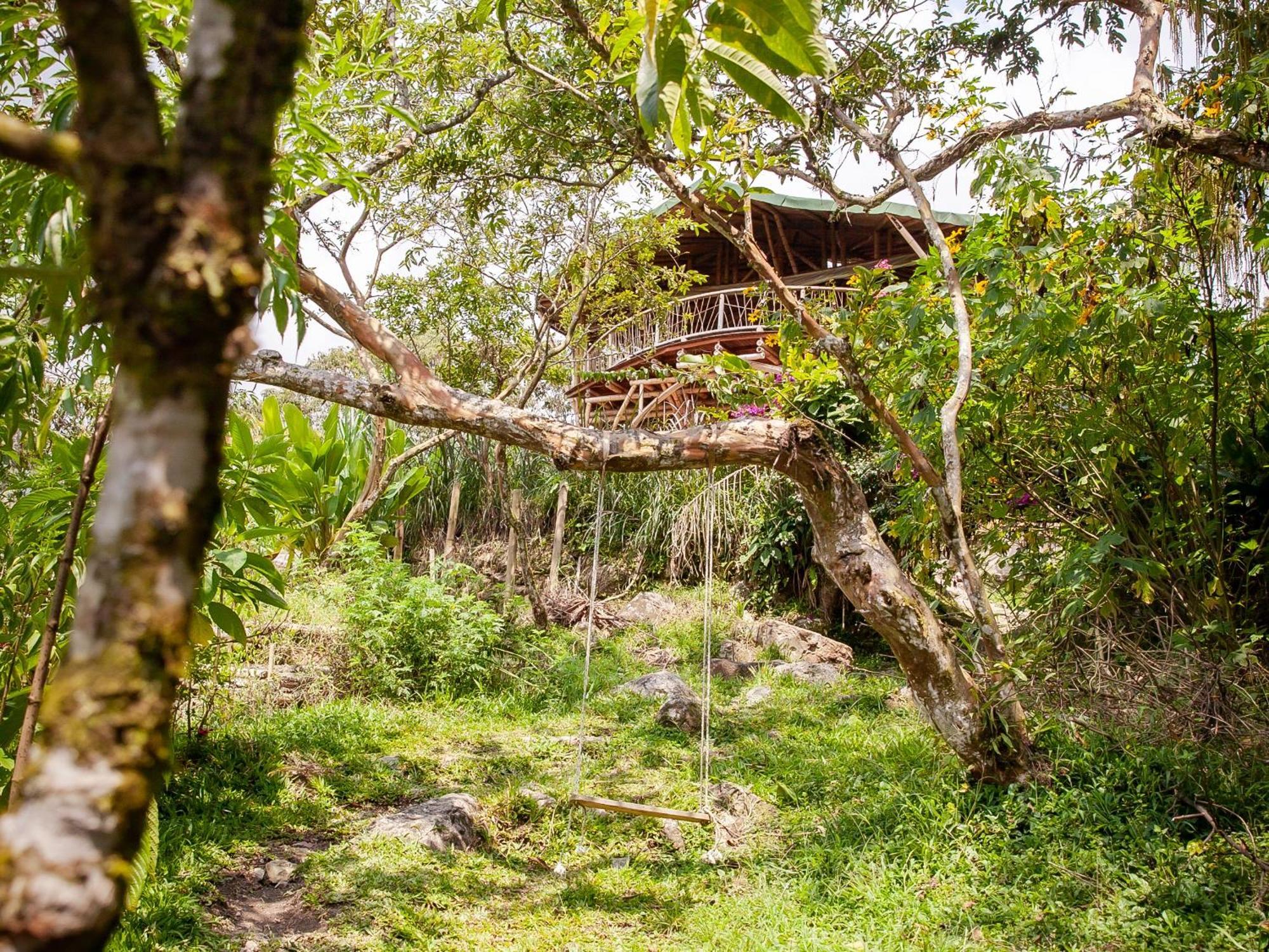 Ecofinca Fuente Alegre Cocorná Kültér fotó
